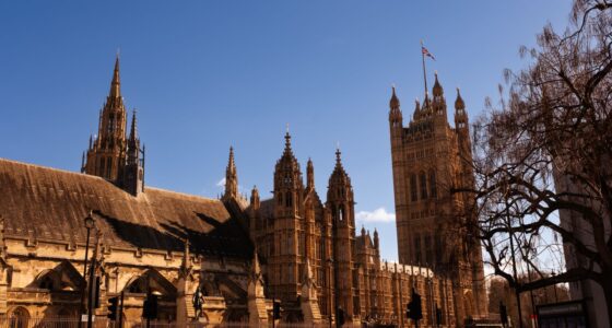 Reform UK Proposes Border Spot Checks and Heavy Fines